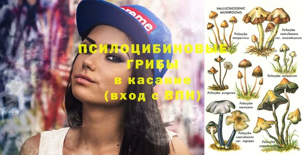 ГАЛЛЮЦИНОГЕННЫЕ ГРИБЫ Абдулино