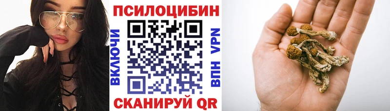 ссылка на мегу маркетплейс Элиста Псилоцибиновые грибы прущие грибы